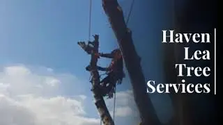 Haven Lea Tree Services