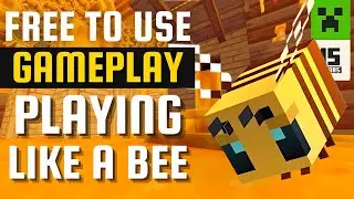 Playing Like a Bee | No Copyright Gameplay | Minecraft