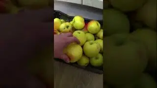 Заготовки и яблоки из подвала