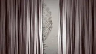 🖼️ Юрий Норштейн (1941) - Ежик в тумане