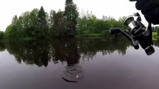 Pottu kalastaa vol 6- jigausta  ja ensinmäinen isku frogiin