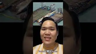 Teori kenapa kapal Sewol bisa tenggelam ! #Shorts #YouTubeShorts