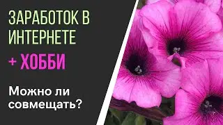 Заработок в интернете совмещаю с хобби