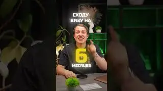 Как получить шенген на 5 лет?🤯 