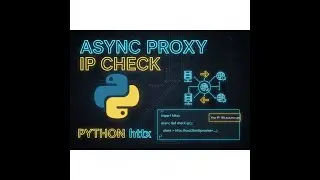 Python Async Proxy IP Check using httpx | Fast & Scalable Asynchronous Requests