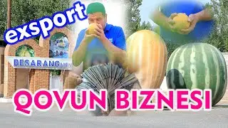 Erta pishar qovun: Toshloq tumani,Besarang MFY qovunchilar maxallasi