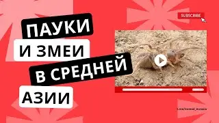 Сальпуги и змеи. Гады ползучие в Азии