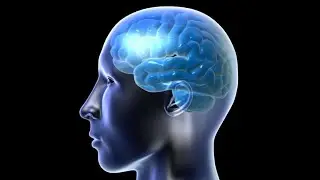 What is Self-Efficacy? Social Cognitive Theory
