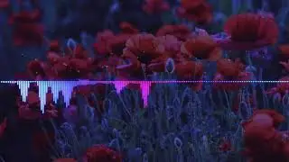 trkprod. - skr skr skr