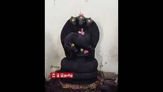 பல்லவர்களால் உருவாக்கப்பட்ட 1200 வருடம் பழமை வாய்ந்த கைலாசநாதர் கோவில்...!🙏