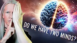 Do You Actually Have TWO Minds? Understanding Bicameralism