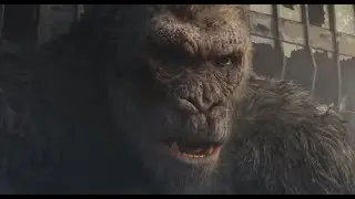 gorilla and Wolf fight clip