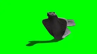 साफ का ग्रीन स्कीन वीडियो #greenscreen #freefire