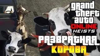 GTA Online - Ограбления (Корова развратница)
