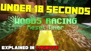 How to Beat the WOOD RACE Under 18 Seconds || Hypixel Skyblock