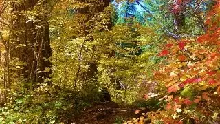 Early Fall Hike around Greenwater, WA