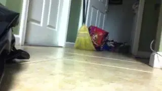 Running baby crazy baby