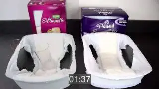 Depend Silhouette vs. Prevail Smooth Fit