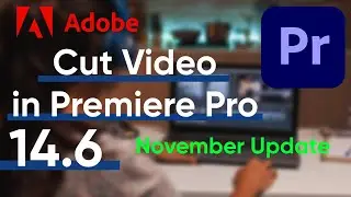 CUT VIDEO IN PREMIERE PRO 14.6 [November Update]!