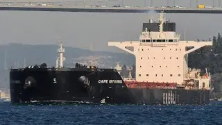 Ships in Istanbul Strait - November 28-29, 2020