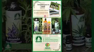 Plantas fresca para tu salud en una forma rápida - FADCAMPO 