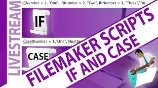 FileMaker Scripts - ‘If’ and ‘Case’ Script Steps for Beginners