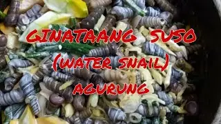 GINATAANG  SUSO[WATER SNAIL ]{AGURUNG} with Kalabasa  at sitaw