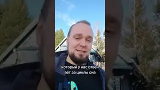 Польза здорового сна#подушам #психология #психотерапия #сон