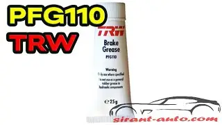 PFG110 Смазка направляющих суппорта 25g TRW
