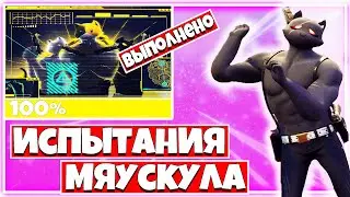 КАК ВЫПОЛНИТЬ ИСПЫТАНИЯ 