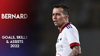 Bernard 2022 ► Goals, Skills & Assists ● Sharjah FC ● UAE Pro League