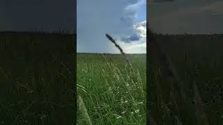 Русь Владимирская #русь #лесьяр #скит #калиновмост