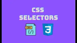 CSS - Selectors | Class 9 | Dynamic Public School | Nepali Curriculum