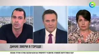 МИР-ТВ: Дикие звери в городе