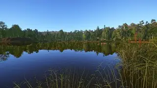 На рыбалке в две палки 😄 #3