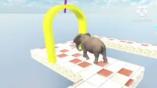 ANIMALS CROSSINGS FOUNDATION | 