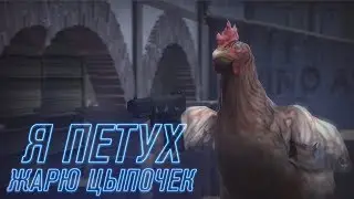 Я ПЕТУХ | Играем в CS:GO