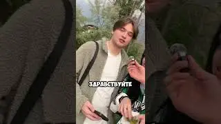 Сделаем 4М?
