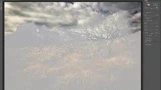 Using the New Select and Mask Feature in Photoshop CC 2015.5