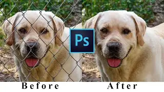 How to remove Fences in Photoshop