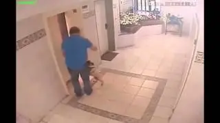 Женщина с собакой и лифт