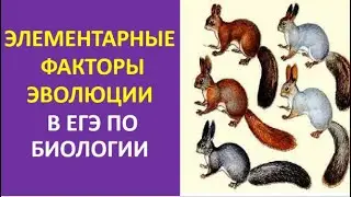 8. Элементарные факторы эволюции в ЕГЭ по биологии