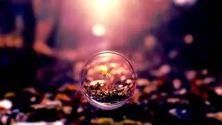 MitiS And Adara - Foundations