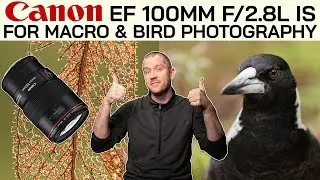 Canon EF 100mm f/2.8L IS for Macro & Bird Photography?! | Tips for shooting without a flash
