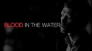 The Mikaelsons | Blood In The Water