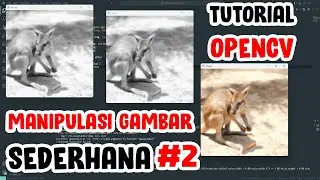 Cara Menggunakan OpenCV Python Khusus Pemula | #2 - Manipulasi Gambar Sederhana
