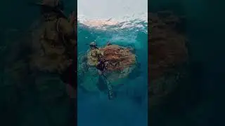 Pesca Submarina vs Generación De Cristal