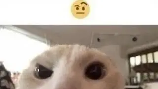 чтоб знали