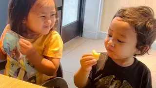 Arshavi convinces her baby brother to eat an apple #cute