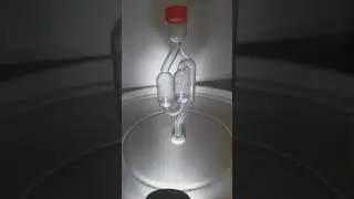 8 августа 2019 г.(1)